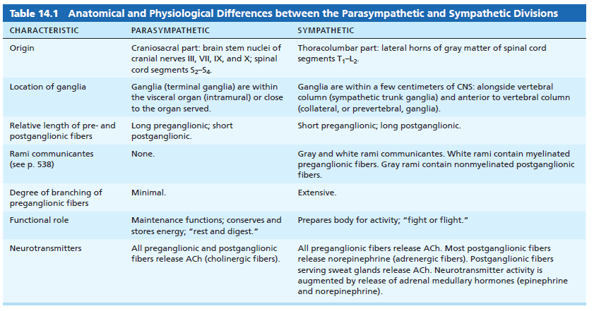 Table of anatomical and physiological differences between divisions