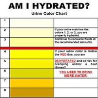 Urine color chart for hydration