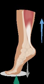 First-class lever example with a seesaw