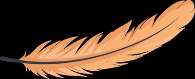 Bipennate muscle fascicle arrangement