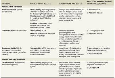 Summary table of adrenal hormones