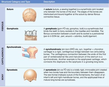 Table of structural joint types and descriptions