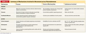 Table summarizing membrane transport mechanisms