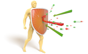 Immune system as a shield against pathogens