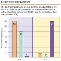 Steady-state disequilibrium