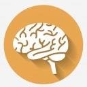 Posterior funiculus–medial lemniscal pathway