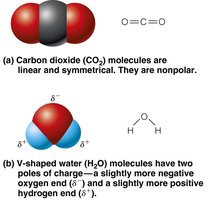 Polar and nonpolar molecules