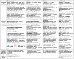 Organic molecules chart