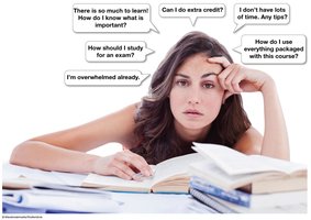 Student overwhelmed with study questions and strategies