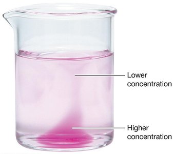 Diffusion driven by concentration gradient