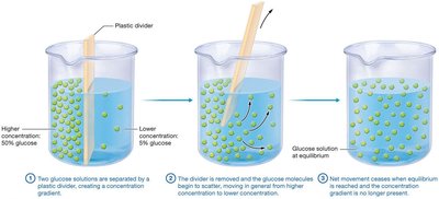 Diffusion and equilibrium