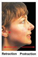 Protraction and retraction movements