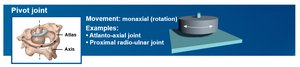 Pivot joint