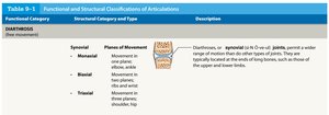 Table of diarthrosis joint types