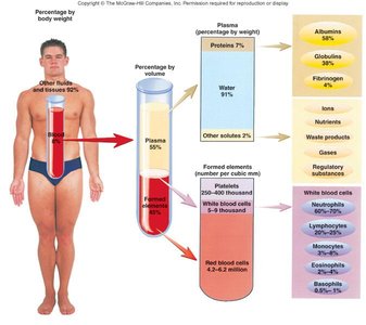 Blood composition and cell types