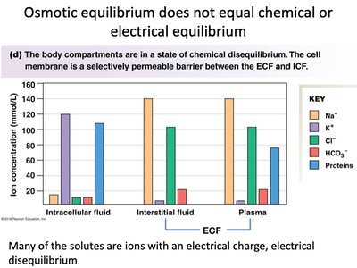 Osmosis and aquaporin channels