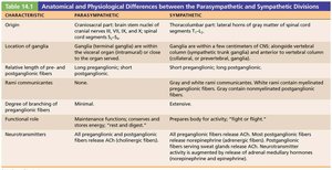 Anatomical and physiological differences between the parasympathetic and sympathetic divisions
