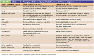 Effects of the parasympathetic and sympathetic divisions on various organs (continued)