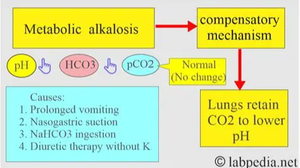 Compensation for metabolic alkalosis: lungs retain CO2 to lower pH