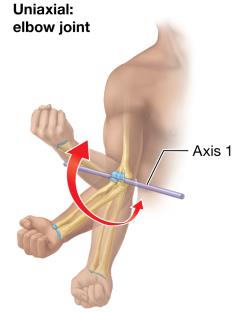 Uniaxial: elbow joint