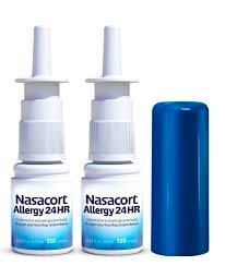 Nasacort Allergy 24HR nasal spray