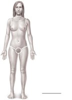 Diagram showing the Rule of Nines for burn assessment