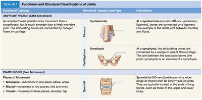 Table of joint classifications continued