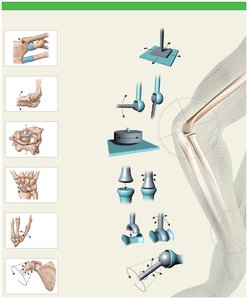 Types of synovial joints and their movements