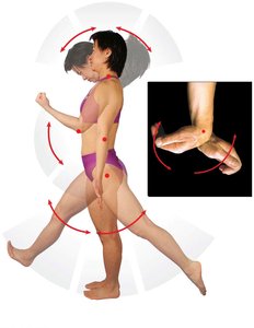 Angular movements: flexion, extension, hyperextension