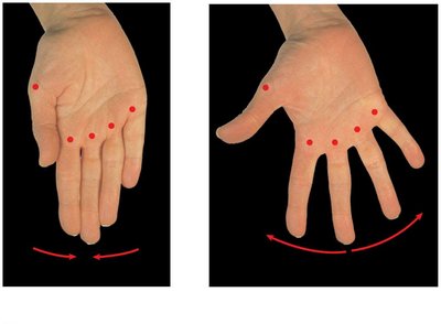 Angular movements: adduction and abduction