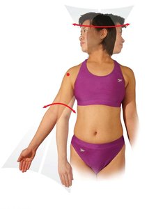 Rotational movements: head and limb rotation