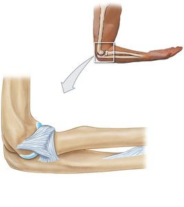 Elbow joint structure