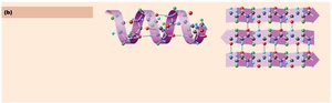 Secondary structure: alpha helix and beta sheet