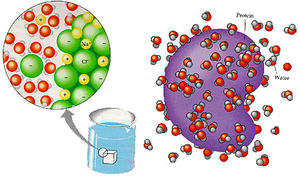 Ions and water molecules in solution