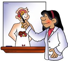 Illustration of a teacher pointing to endocrine organs on a diagram