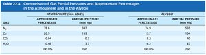 Table comparing gas partial pressures and percentages in atmosphere and alveoli