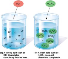 Dissociation of strong and weak acids in water