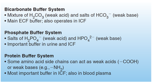 Quick summary of chemical buffer systems