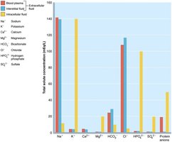 Electrolyte composition of blood plasma, interstitial fluid, and intracellular fluid