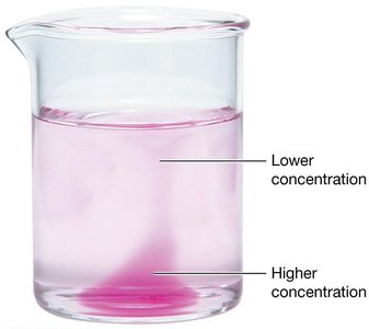 Diffusion in a beaker
