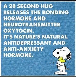 Oxytocin and bonding behavior