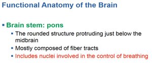 Summary of pons functions