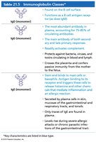 Immunoglobulin classes IgD, IgG, and IgE