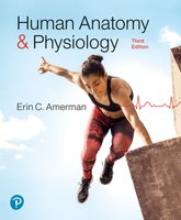 Cover of Human Anatomy & Physiology textbook