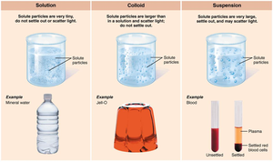Comparison of solution, colloid, and suspension