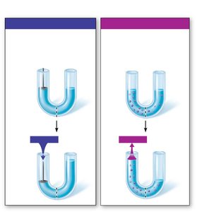 Osmotic pressure diagram