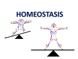 Homeostasis illustrated with balance
