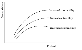 Frank-Starling curve: relationship between preload and stroke volume
