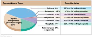 Chemical analysis of bone