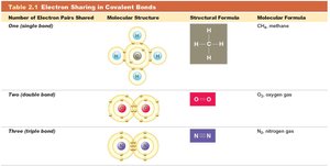 Table of electron sharing in covalent bonds
